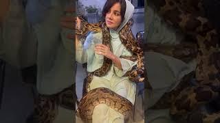 Snakes of Rabi Pirzada