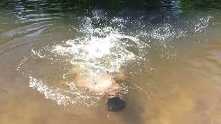 Berenang cuma pakai celana dalam di sungai jernih