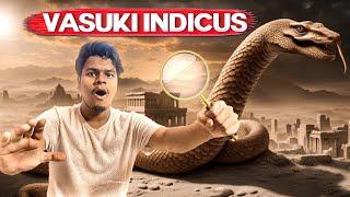 Vasuki Indicus Snake  Worlds Largest Snake Found in Gujrat  Vasuki Indicus Fossil