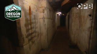 The mysterious tunnels of Fort Stevens Oregon  Oregon Field Guide