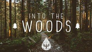 Into The Woods  - A Mysterious FolkPop Playlist
