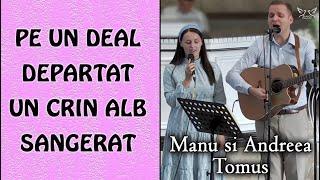 Manu si Andreea Tomus - Pe un deal departat un Crin alb sangerat  muzica crestina