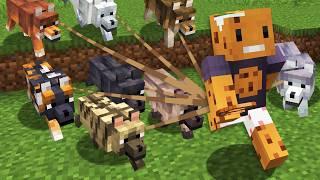 I Collected EVERY NEW WOLF In Minecraft Hardcore