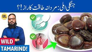 Pahari Imli Ke Fawaid Mountain Tamarind Benefits  Dr. Ibrahim