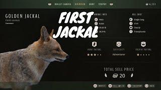 First Golden Jackal  - Way Of The Hunter - PS5