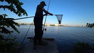 Рыбалка возле дома. Ловлю судачков на кусочки рыбы.#судакночью  #судак
