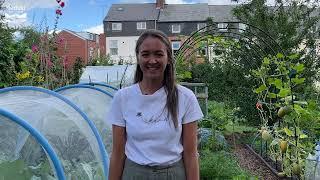 The best allotment in Sheffield 2022