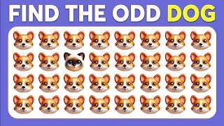 Find the ODD One Out - Animals Edition  Monkey Quiz
