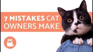 7 Mistakes cat owners make