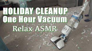 Holiday Clean Up Vacuuming - 1 Hour Vacuum Sound and Video