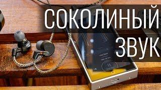 DUNU Falcon-C - выжать невыжимаемое. Обзор и мнение о DUNU-Topsound Falcon-C