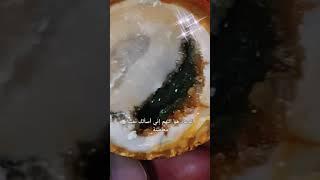 شاهدوا ماذا وجدت فى داخل هذا الحجر سبحان الله