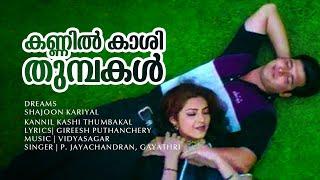 Kannil Kaashithumbakal  Dreams  Abbas  Meena - Vidyasagar Hits