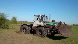 t 150 tractor vs bush. exciting fight. the wiser gives in. Russian tractor
