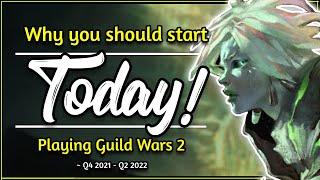 Why YOU should play Guild Wars 2 TODAY