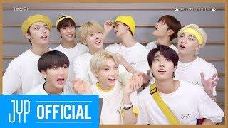 Stray Kids스트레이 키즈 부작용Side Effects Fan Featuring Guide Video