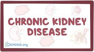 Chronic kidney disease - causes symptoms diagnosis treatment pathology