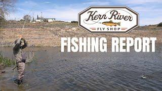 Hows the fishing on the Kern River and Lake Isabella? You’re about to find out 4-18-24