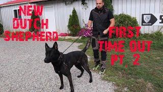 My NEW Dutch Shepherd - First time OUT Pt. 2
