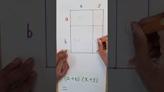 Learning Multiplication Algebra