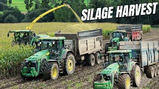 JOHN DEERE SILAGE HARVEST l MS EQUIPEMENT  #johndeere #msequipement #bretagne #harvest