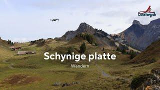Wilderswil to Schynige Platte  Swissview  Wandern  Berge  Interlaken  Travel Guide