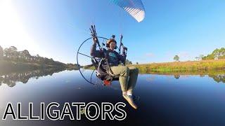 Flying Over Alligators On My Paramotor