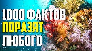 1000 ФАКТОВ КОТОРЫЕ ПОРАЗЯТ ЛЮБОГО