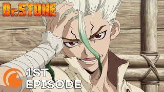 Dr. STONE Ep. 1  Stone World