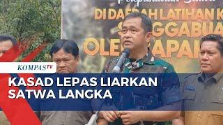 KASAD Jenderal Maruli Simanjuntak Lepas Liarkan Satwa Langka ke Hutan Lindung di Jabar