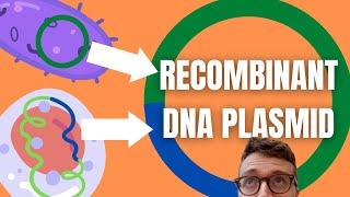 Recombinant DNA Technology Explained For Beginners