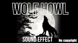 Wolf howl sound effect  night wolf sound  no copyright  free