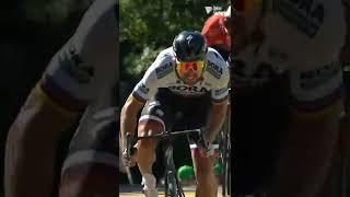 This was an unstoppable sprint from Sagan  #Shorts