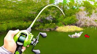 Fishing BIG Swimbaits for 15lb Bass in HIDDEN Trophy Pond