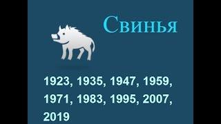 Год свиньи гороскоп составленный психологом Натальей Кучеренко.