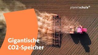 CO2 im Ackerboden speichern - Kühlung für die Erde  planet schule