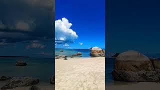 Bagaikan Lukisan Yang Bergerak #musica #cover #reggae #music #beach #song #pantai