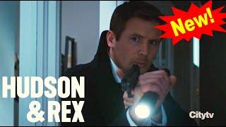 Hudson and Rex 2024  Prescription - Rex  Drama Television Series