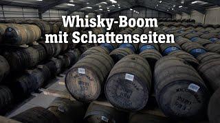 Whisky-Boom mit Schattenseiten  SPIEGEL TV für ARTE Re