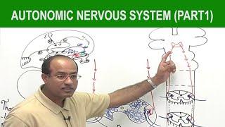 Autonomic Nervous System   Neurology  Neuroanatomy  Part 1