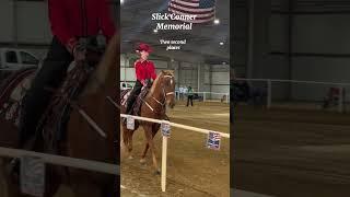 STUPID CAPCUT MADE SMOOTH SLOW MO PRO #horse #ilovemyhorse #tennesseewalkinghorse