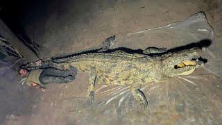 An American trophy hunter took down a massive crocodile in Tanzanias wilderness