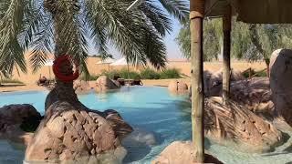 Telal resort al ain 아부다비 사막호텔 2탄  가젤과 백조가 있는 테랄 리조트