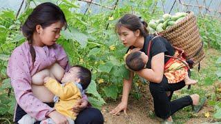 14 Year Old Single Mother Building a farm Harvesting agricultural products to sell at the market