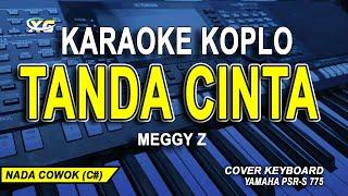 TANDA CINTA KARAOKE KOPLO MEGGY Z NADA PRIA