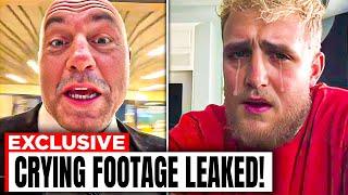 Jake Paul’s CRYING Footage LEAKED After Joe Rogan Said This About Fight With Mike Tyson