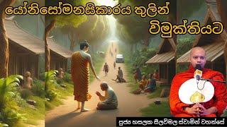 යෝනිසෝමනසිකාරය තුලින් විමුක්තියට  #209 REV HASALAKA SEELAWIMALA THERO 