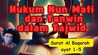 CARA MEMBACA HUKUM NUN MATI DAN TANWIN I Surat al baqoroh ayat 1 -5 #belajartajwidpemula #tajwid