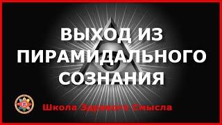 Выход из пирамидального сознания. Абрамова Анна США