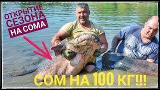 Ловля сома весной. Сом на 100 килограмм. Рыбалка на сома на растяжку